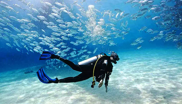 غواصی در کیش