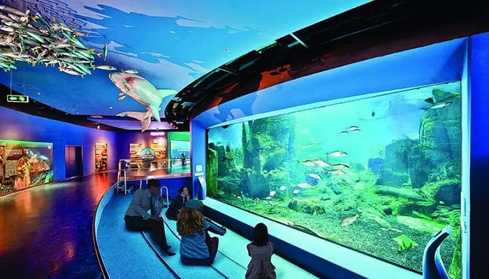 آکواریوم استانبول