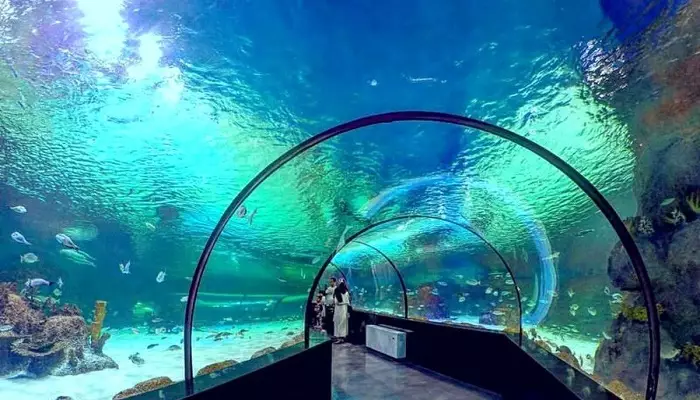 آکواریوم کیش