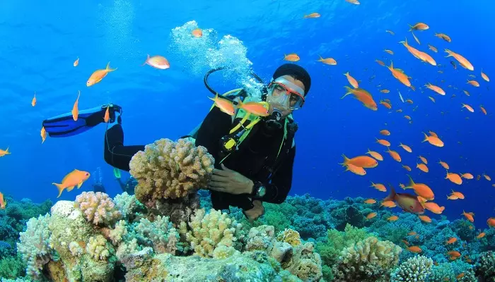 تفریحات کیش